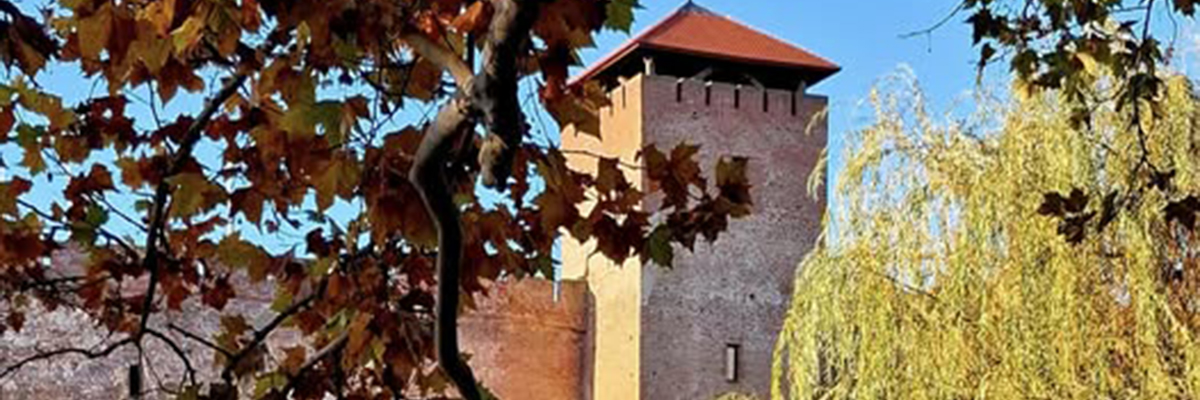 571808312_3287942714695846_5035218644403898115_n